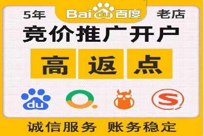 成功运用SEM服务实现品牌推广的案例分析